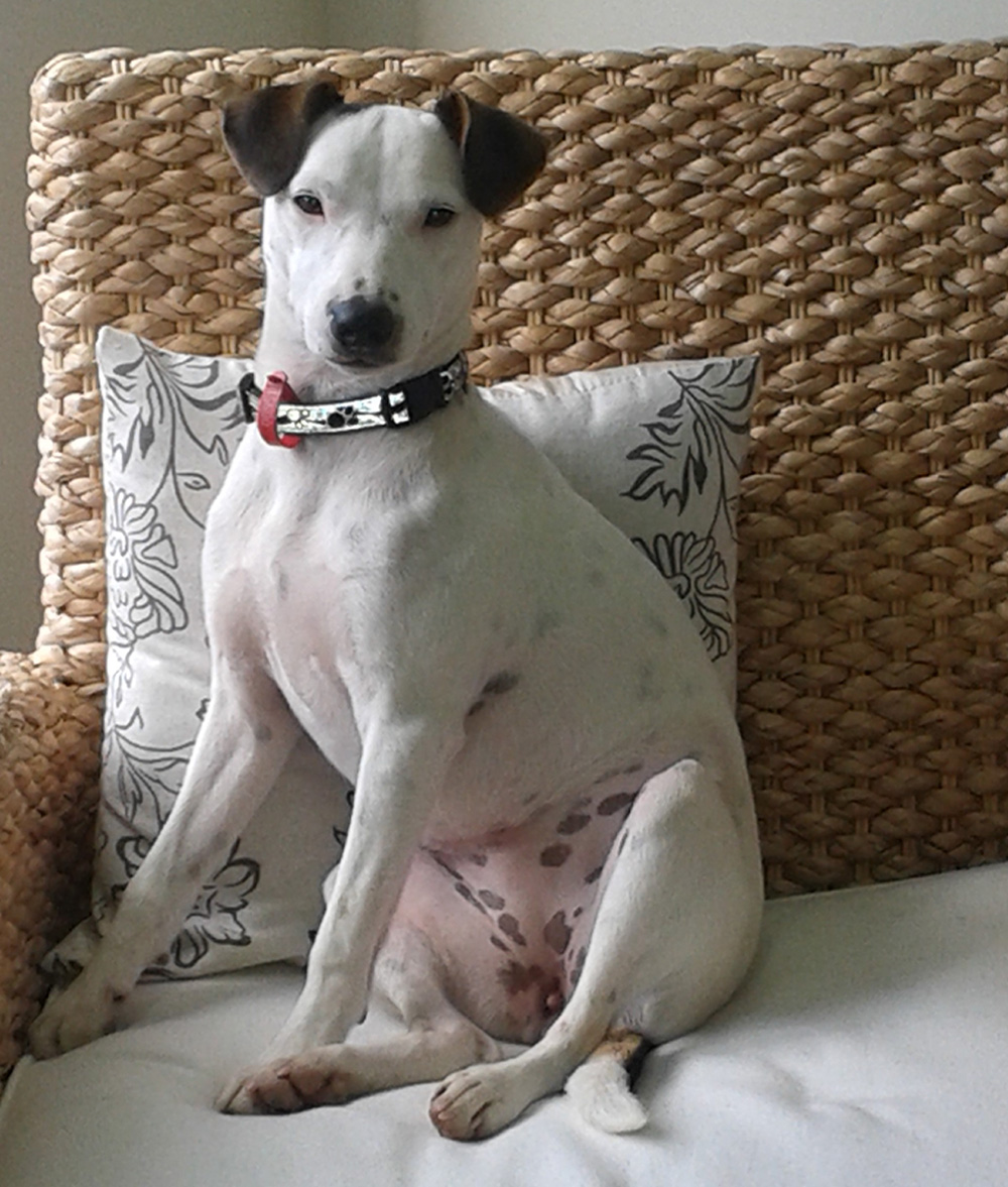 Just Law in Kerikeri provide affordable, practical estate, commerical, employment and family law advice and services.